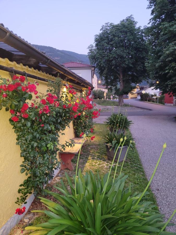 Pension & Ferienwohnung Dullnig Gmünd Exteriér fotografie