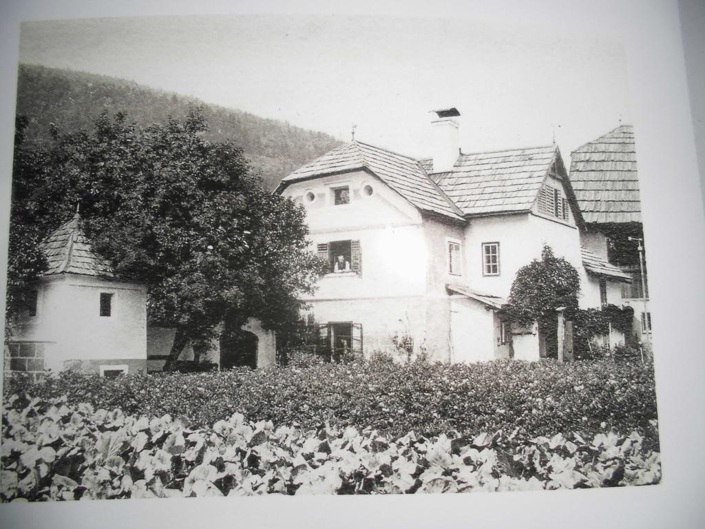 Pension & Ferienwohnung Dullnig Gmünd Exteriér fotografie